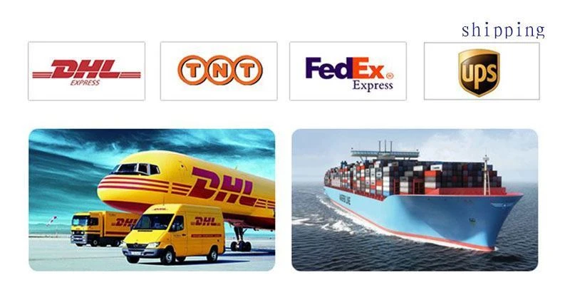 shipping