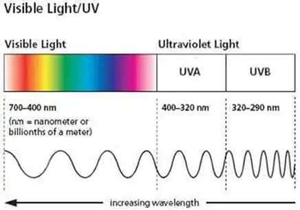 Avobenzone powder wavelength Avobenzone powder wavelength