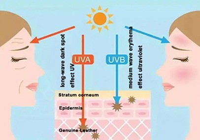 Avobenzone Powder UV Resistant Avobenzone Powder UV Resistant