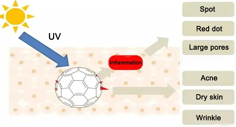 Hyaluronic acid Anti-Inflammatory
