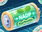 NADP は何に使用されますか?この携帯電話発電所の重要なガイド